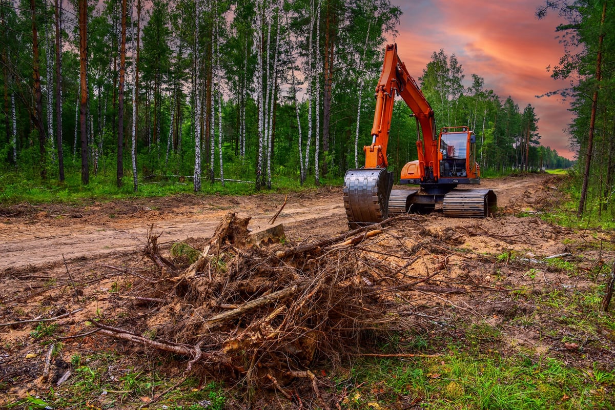 Tracked heavy machinery clearing forest for new development